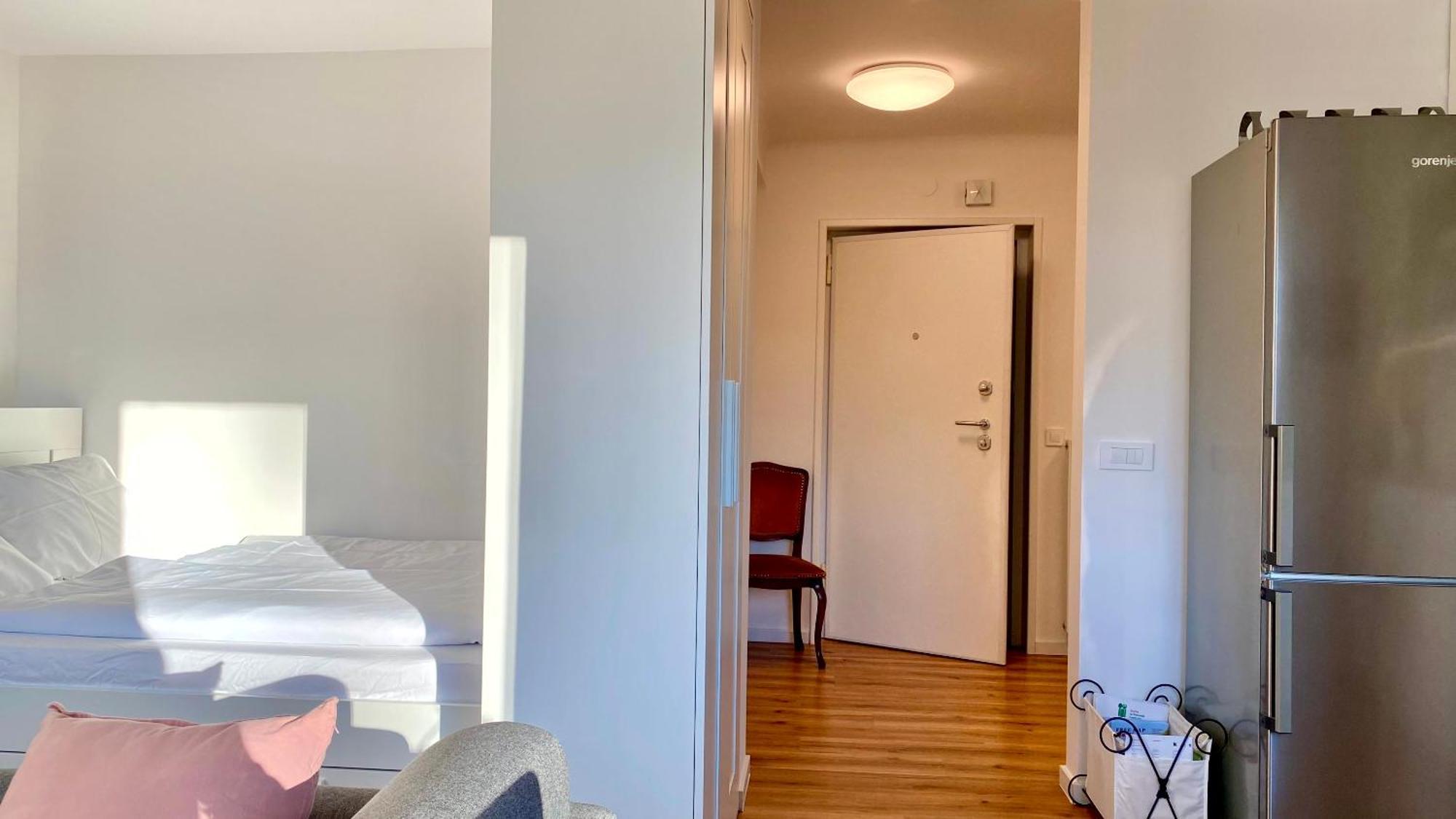 Little Plaza Centre Apartment Laibach